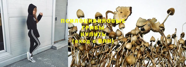 jwh Надым