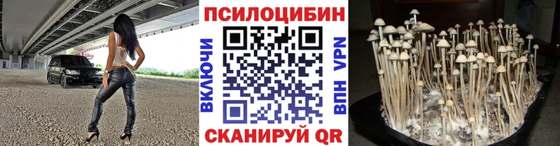 Купить  Менделеевск  Псилоцибиновые грибы прущие грибы 